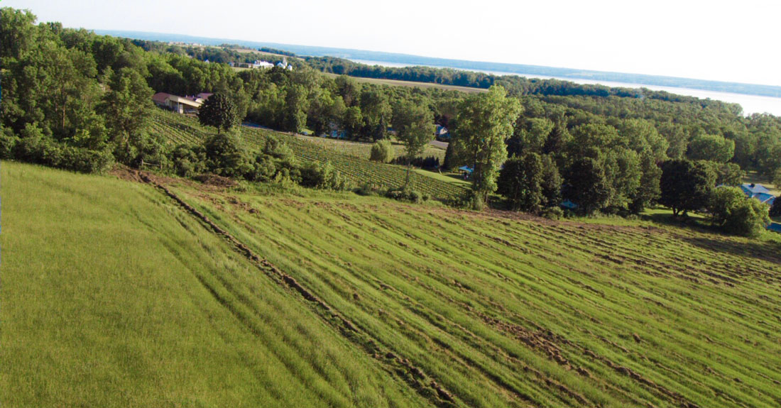 Looking South from the newly tiled vineyard